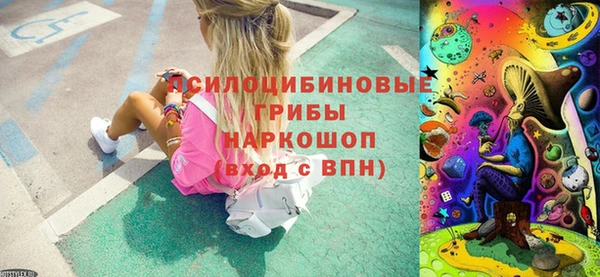 шишки Дмитров