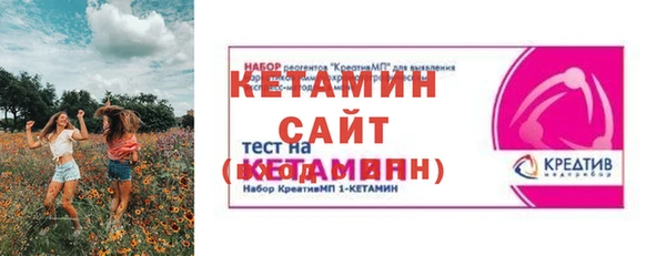 тгк Дмитриев