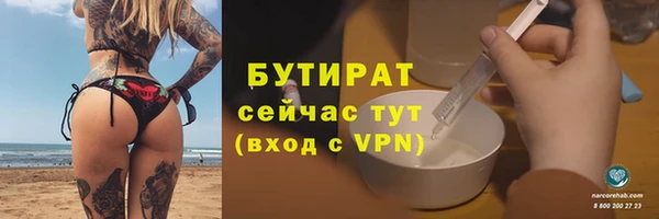 тгк Дмитриев