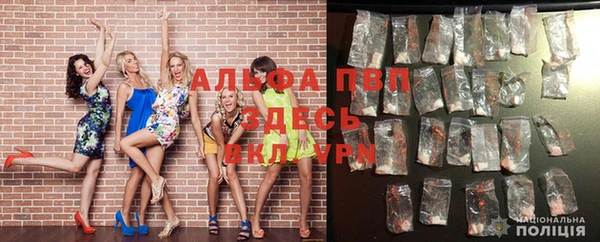 тгк Дмитриев