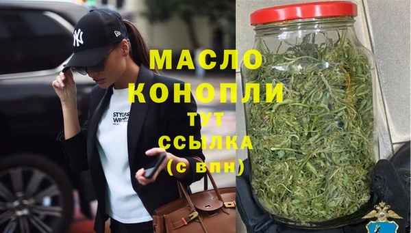 тгк Дмитриев
