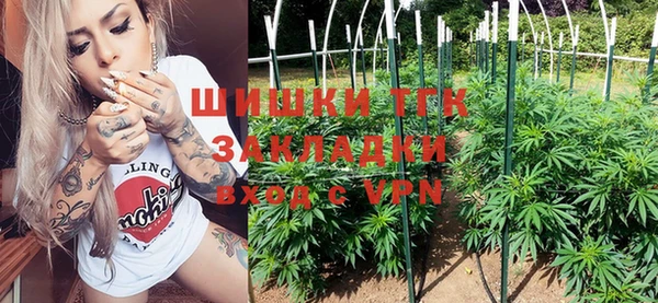 шишки Дмитров