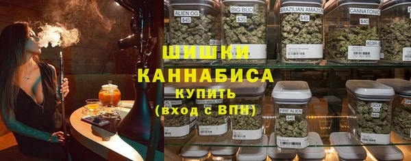тгк Дмитриев