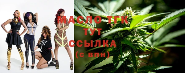 тгк Дмитриев