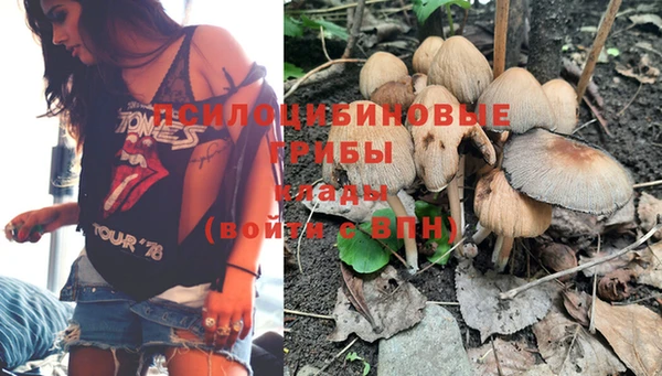 шишки Дмитров