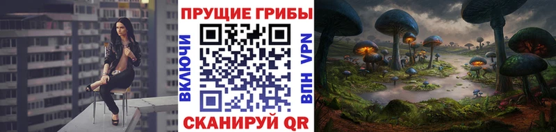 Купить закладки  Лиски  Галлюциногенные грибы MAGIC MUSHROOMS 