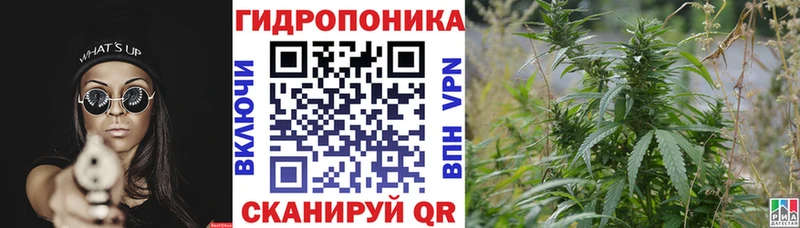 Каннабис сатива  Купить где  Лиски 